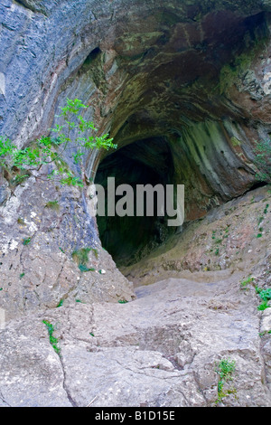 L'entrée de Thor's Cave dans la vallée du collecteur de la crête blanche calcaire dans le Staffordshire en Angleterre dans le Peak District Banque D'Images