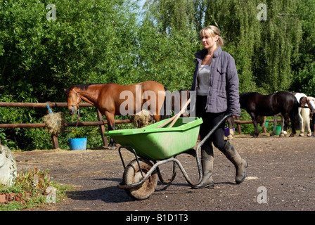 Femme poussant une brouette travaillant dans les chevaux de cour stable Banque D'Images