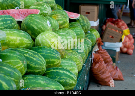 Les melons d'eau douce à la vente à un marché de plein air, USA. Banque D'Images