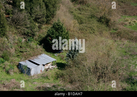 Un vieux hangar délabré hut dans le champ en pays Banque D'Images