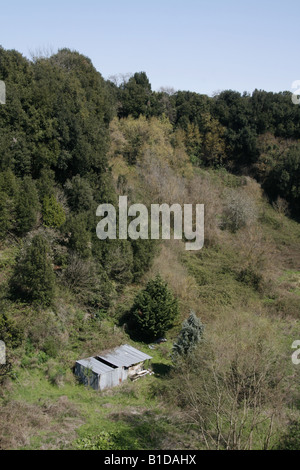 Un vieux hangar délabré hut dans le champ en pays Banque D'Images