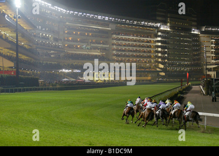 Chevaux sur l'hippodrome Happy Valley à Hong Kong Banque D'Images