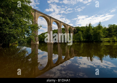 Ancien viaduc ferroviaire reflète dans la rivière creuse, Le Blanc, Indre, France. Banque D'Images