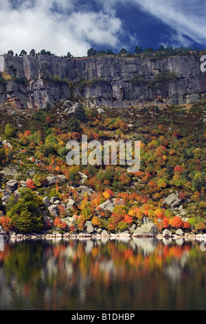 Picos de Urbion en automne Banque D'Images