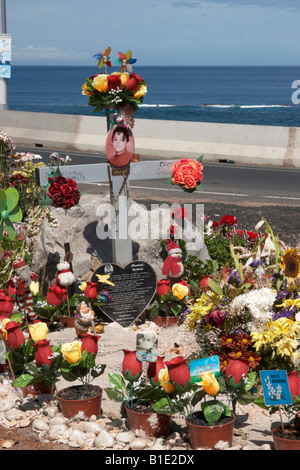 Croix et fleurs sur les lieux d'un accident routier mortel sur l'autoroute de halage en Espagne Banque D'Images