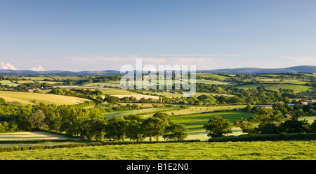 Soir d'été sur la campagne vallonnée de Mid Devon près du village de Morchard Angleterre Devon Crediton Bishop Banque D'Images