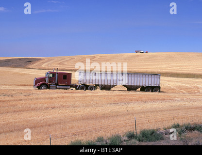 Dans la partie supérieure de la gorge du Columbia, dans le centre nord de l'Oregon un chariot de blé attend une moissonneuse-batteuse en Août Banque D'Images