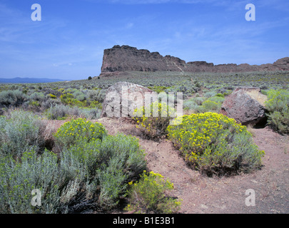 Snakeweed et rabbitbush croître autour de Fort Rock State Natural Area un monument volcanique appelé un anneau de tuf Banque D'Images