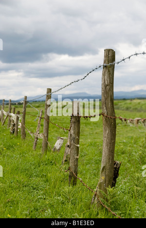 Publiez et barbelés Banque D'Images