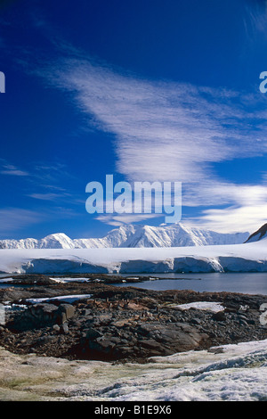 Colonie de manchots Gentoo sur des rochers le long de la rivière avec des montagnes enneigées et des glaciers de l'été antarctique Banque D'Images