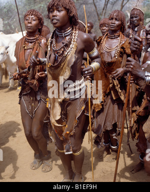 Les femmes Hamar danser, chanter et souffler de petite boîte de trompettes lors d'un saut de la 'Bull' cérémonie. Banque D'Images