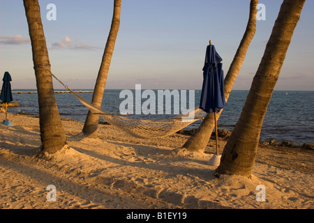 Hamac sur la plage près de l'hôtel à Key West, Floride Banque D'Images