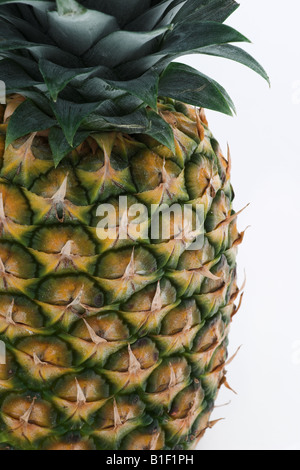 L'Ananas close up against a white background Banque D'Images