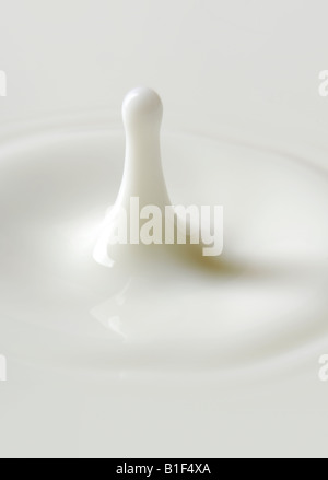 Goutte de lait Banque D'Images