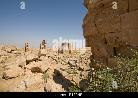 Université, ancienne ville Mespotamienne de Harran, Turquie du Sud-est, Banque D'Images