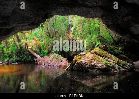 Moria Gate Arch Oparara River Bassin Oparara Nationalpark Kahurangi Nelson Region ile sud Nouvelle Zelande Banque D'Images