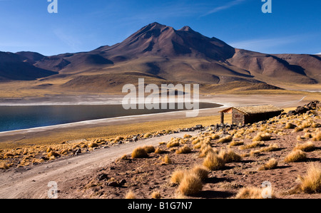 Volcan Miscanti et Miniques Lagune dans le désert d'Atacama au Chili Banque D'Images