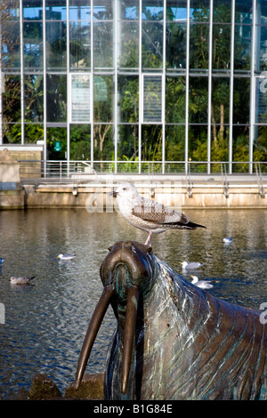 Les Jardins d'hiver et galerie d'Art de Sunderland Tyne et Wear Angleterre Banque D'Images