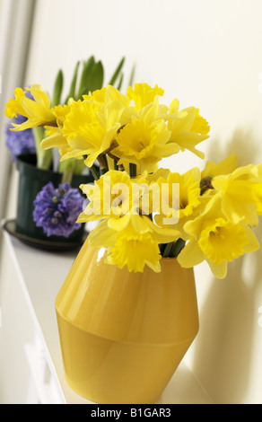 Jonquilles en vase jaune jaune assis sur une cheminée contre un mur à côté de la lumière bleu vase de hyacinthins. Banque D'Images