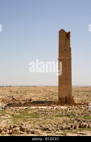 Université, ancienne ville Mespotamienne de Harran, Turquie du Sud-est, Banque D'Images