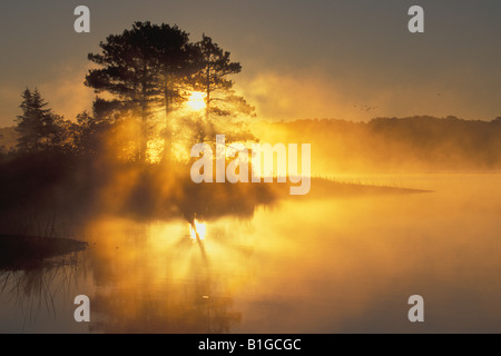 Lever du soleil et les oies sur le lac de minnesota usa Banque D'Images