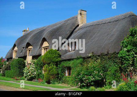 Cotswold cottage de chaume, Chipping Campden, Cotswolds, Gloucestershire, Angleterre, Royaume-Uni Banque D'Images