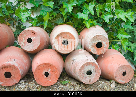 Pots empilés dans un contexte de croissance de la vigne verte Banque D'Images