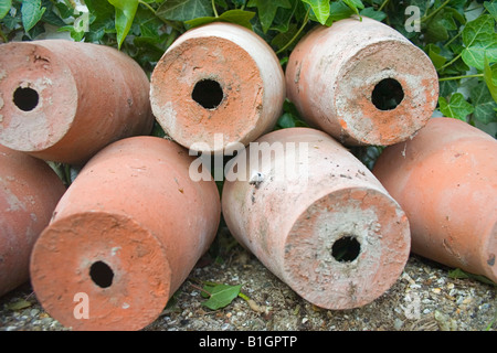 Pots empilés dans un contexte de croissance de la vigne verte Banque D'Images