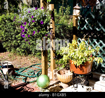 Variété de plantes en pots avec un tuyau d'arrosage à proximité de Mt. Dora, Floride Banque D'Images