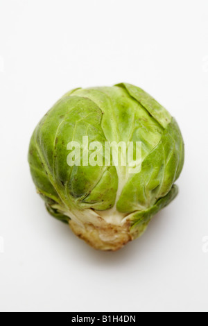 Brussel sprout Banque D'Images