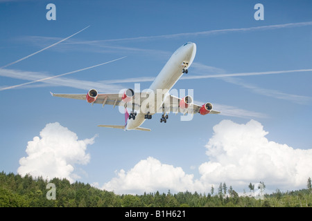 Au-dessus de l'avion une forêt Banque D'Images