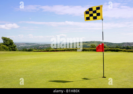 Gros plan du terrain de golf putting green de l'axe du trou avec un drapeau à damiers jaune et noir et vert herbe pulpeuses droit golf Banque D'Images