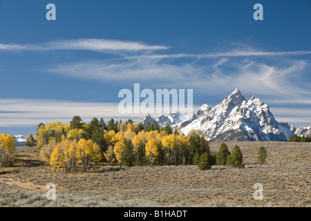 La cathédrale groupe dans le Grand Teton National Park avec les trembles et les armoises en premier plan au cours de l'automne Banque D'Images