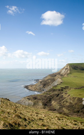 Tout Houns falaise au-dessus de la piscine de Chapman Dorset Purbeck UK Banque D'Images