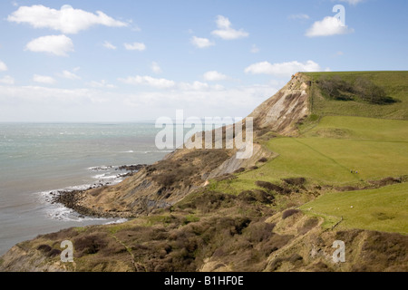 Tout Houns falaise au-dessus de la piscine de Chapman Dorset Purbeck UK Banque D'Images