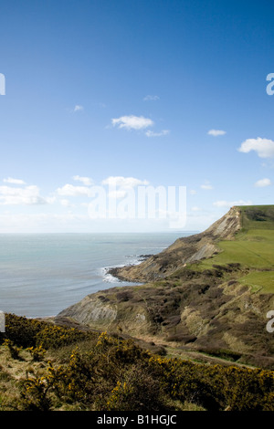 Tout Houns falaise au-dessus de la piscine de Chapman Dorset Purbeck UK Banque D'Images