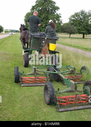 Mettre en œuvre une tondeuse tractée par une paire de chevaux Shire à Richmond Park, Richmond. Surrey. UK Banque D'Images