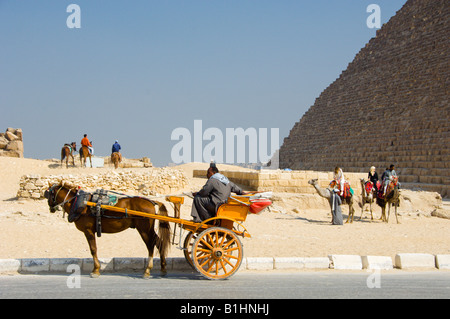 Des promenades en calèche et chevaux disponibles à la Pyramides de Gizeh Egypte Banque D'Images