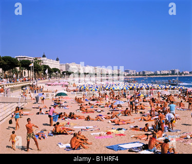 Boulevard de la Croisette et de la plage Cannes Côte d'Azur Sud de la France Banque D'Images