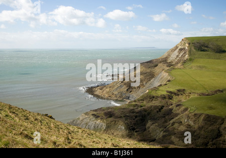 Tout Houns falaise au-dessus de la piscine de Chapman Dorset Purbeck UK Banque D'Images