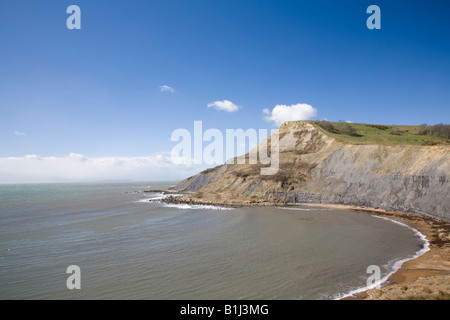 Tout Houns falaise au-dessus de la piscine de Chapman Dorset Purbeck UK Banque D'Images