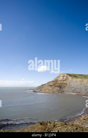 Tout Houns falaise au-dessus de la piscine de Chapman Dorset Purbeck UK Banque D'Images