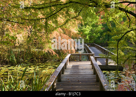 Van Dusen Botanical Gardens vancouver Banque D'Images