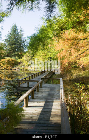 Van Dusen Botanical Gardens vancouver Banque D'Images