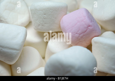 Quelques guimauves, majoritairement blancs mais avec un rose Banque D'Images