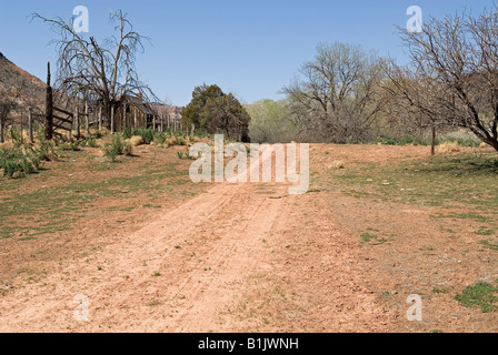 Route de terre avec habitation sur la gauche, Grafton Ghost Town, près de Zion National Park, Utah, USA. Banque D'Images