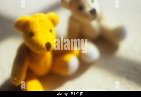 De l'un d'impressions, et un blanc jaune ours assis à côté de l'autre dans la fenêtre avec sun bar shadows Banque D'Images