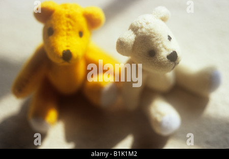 De l'un d'impressions, et un blanc jaune ours assis à côté de l'autre dans la fenêtre avec sun bar shadows Banque D'Images