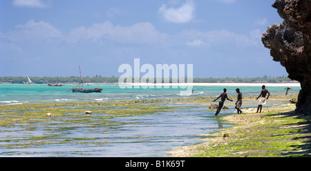 Dans le transport des pêcheurs des filets de pêche à marée basse sur la côte de Pangane , au Mozambique. Banque D'Images