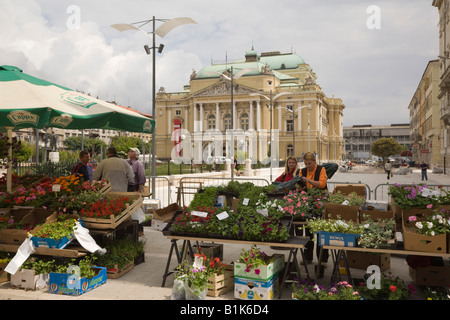 Rijeka Istrie Croatie Europe Street market stall la vente de plantes et fleurs par Théâtre National et l'Opéra House Building Banque D'Images